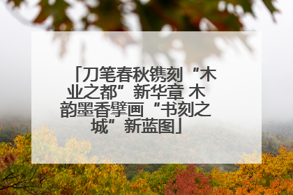 刀笔春秋镌刻“木业之都”新华章 木韵墨香擘画“书刻之城”新蓝图