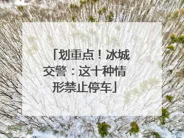 划重点！冰城交警：这十种情形禁止停车