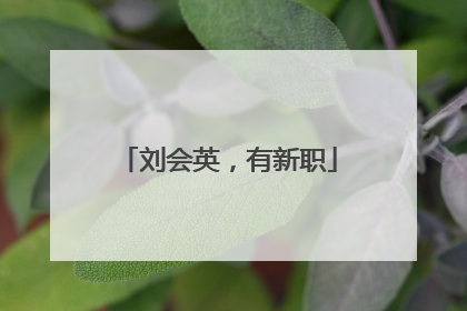 刘会英，有新职