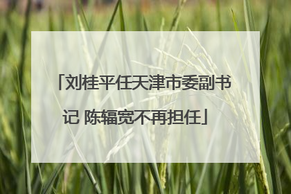 刘桂平任天津市委副书记 陈辐宽不再担任