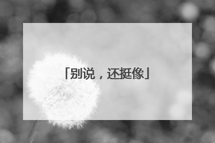 别说，还挺像