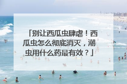 别让西瓜虫肆虐！西瓜虫怎么彻底消灭，潮虫用什么药最有效？