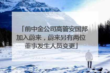 前中金公司高管安国邦加入蔚来，蔚来另有两位董事发生人员变更