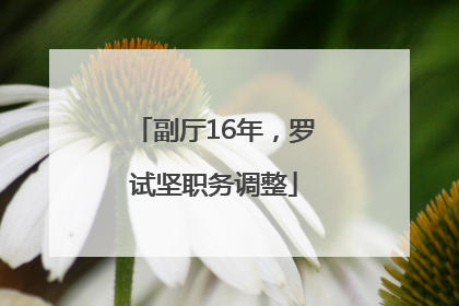 副厅16年，罗试坚职务调整