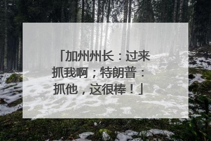 加州州长：过来抓我啊；特朗普：抓他，这很棒！