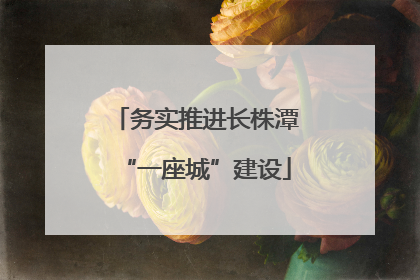 务实推进长株潭“一座城”建设