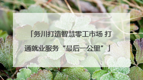 务川打造智慧零工市场 打通就业服务“最后一公里”