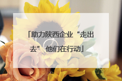 助力陕西企业“走出去” 他们在行动