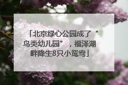 北京绿心公园成了“鸟类幼儿园”，福泽湖畔降生8只小鸳鸯
