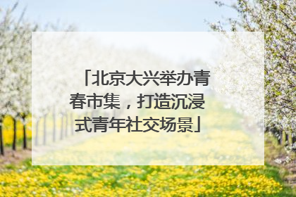 北京大兴举办青春市集，打造沉浸式青年社交场景