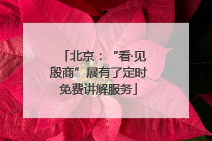 北京：“看·见殷商”展有了定时免费讲解服务