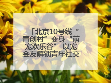 北京10号线“青创村”变身“萌宠欢乐谷” 以宠会友解锁青年社交新范式