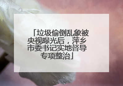 垃圾偷倒乱象被央视曝光后，萍乡市委书记实地督导专项整治
