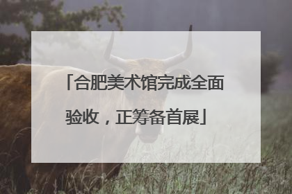 合肥美术馆完成全面验收，正筹备首展