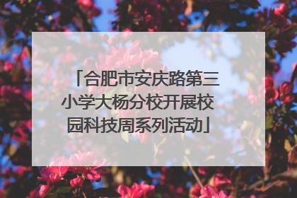 合肥市安庆路第三小学大杨分校开展校园科技周系列活动