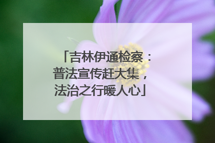 吉林伊通检察：普法宣传赶大集，法治之行暖人心