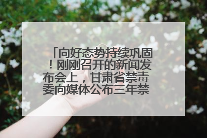 向好态势持续巩固！刚刚召开的新闻发布会上，甘肃省禁毒委向媒体公布三年禁毒工作“成绩单”