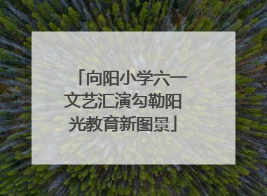 向阳小学六一文艺汇演勾勒阳光教育新图景