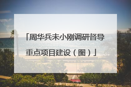 周华兵未小刚调研督导重点项目建设（图）