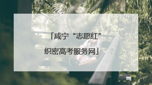 咸宁“志愿红”织密高考服务网