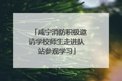 咸宁消防积极邀请学校师生走进队站参观学习