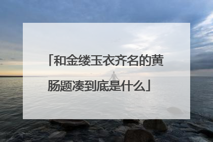 和金缕玉衣齐名的黄肠题凑到底是什么
