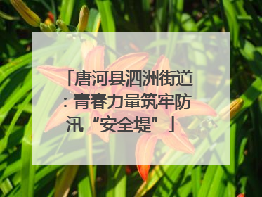 唐河县泗洲街道：青春力量筑牢防汛“安全堤”