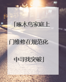 啄木鸟家庭上门维修在规范化中寻找突破