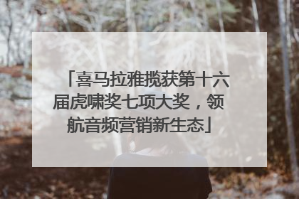 喜马拉雅揽获第十六届虎啸奖七项大奖，领航音频营销新生态