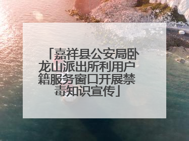 嘉祥县公安局卧龙山派出所利用户籍服务窗口开展禁毒知识宣传