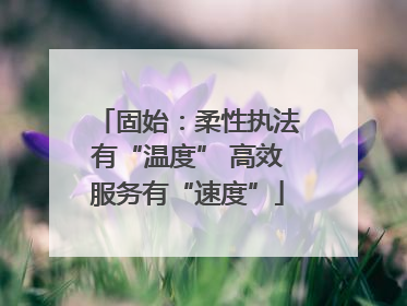 固始：柔性执法有“温度” 高效服务有“速度”