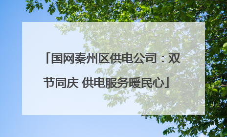 国网秦州区供电公司：双节同庆 供电服务暖民心