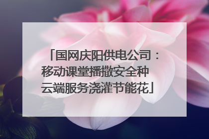 国网庆阳供电公司：移动课堂播撒安全种 云端服务浇灌节能花