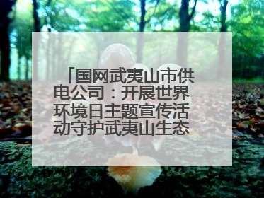 国网武夷山市供电公司：开展世界环境日主题宣传活动守护武夷山生态“高颜值”