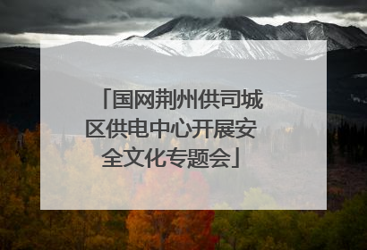 国网荆州供司城区供电中心开展安全文化专题会