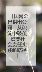 国网金昌供电公司：从积淀中破茧 蝶变社会责任实践新路径