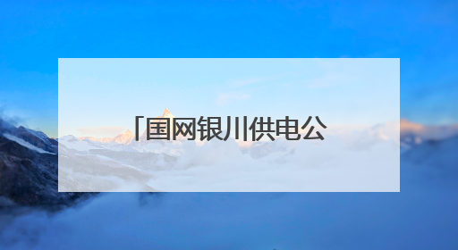 国网银川供电公司发布2024年服务地方经济社会发展白皮书