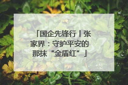 国企先锋行丨张家界：守护平安的那抹“金盾红”