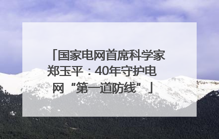 国家电网首席科学家郑玉平：40年守护电网“第一道防线”