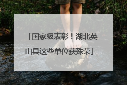 国家级表彰！湖北英山县这些单位获殊荣