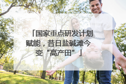国家重点研发计划赋能，昔日盐碱滩今变“高产田”