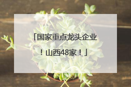 国家重点龙头企业！山西48家！