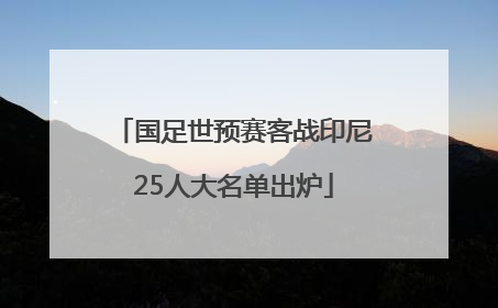国足世预赛客战印尼25人大名单出炉