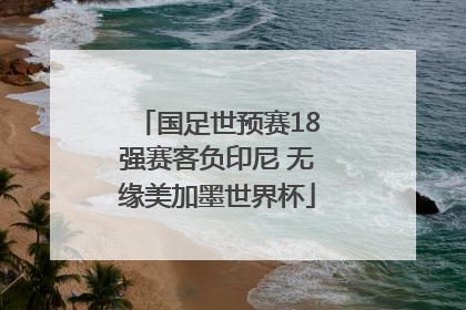 国足世预赛18强赛客负印尼 无缘美加墨世界杯