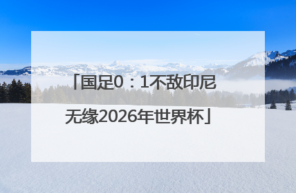 国足0：1不敌印尼 无缘2026年世界杯
