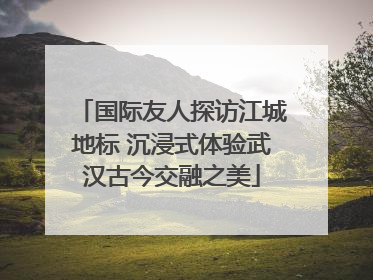国际友人探访江城地标 沉浸式体验武汉古今交融之美