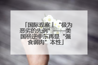 国际观察丨“极为恶劣的先例”——美国横逆中东再显“强食弱肉”本性