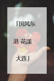 国风东港 花漾大连