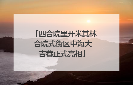 四合院里开米其林 合院式街区中海大吉巷正式亮相
