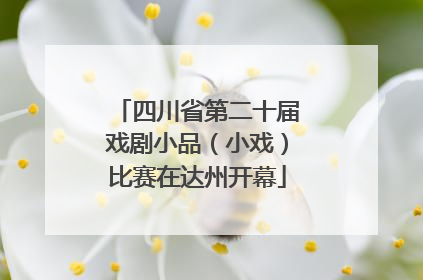 四川省第二十届戏剧小品（小戏）比赛在达州开幕